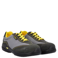 CAPRI S1P SRC