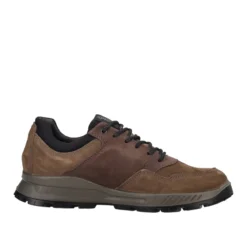ELOY GTX Stringate Uomo Marroni