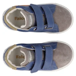 FALCOTTO FILISI