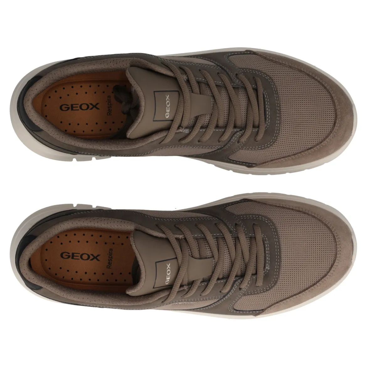 FLEXTRIDE Sneakers Uomo Marroni