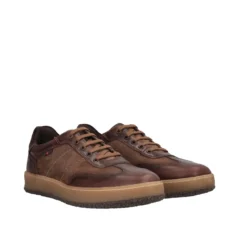 NEVIL Stringate Uomo Marroni