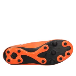 RAPIDO III FG AG JR