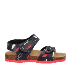 Sandali Bambini Blu e Rossi con Squali