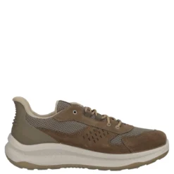 Sneakers Uomo Marroni