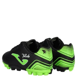TOLEDO JR 2301