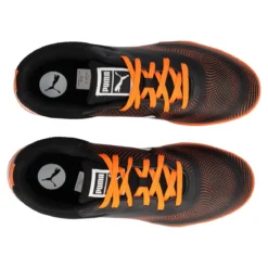 TRUCO III TT